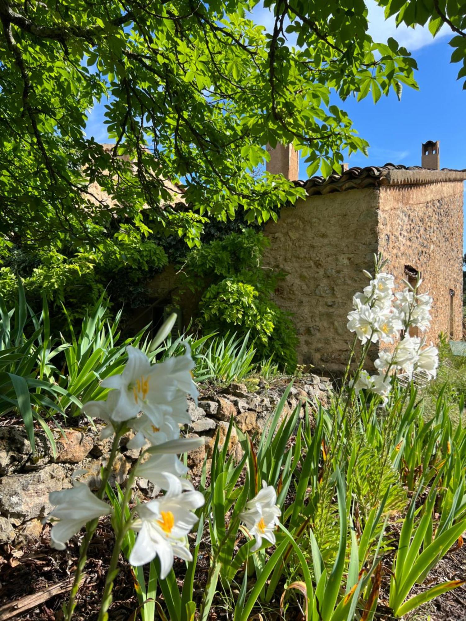 Charmant Appartement Independant Au Sein D'Un Mas Provencal Aups Exterior photo